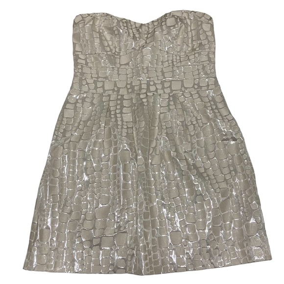 American Eagle Outfitters Dresses & Skirts - NWT American Eagle Silver Metallic Halter Dress